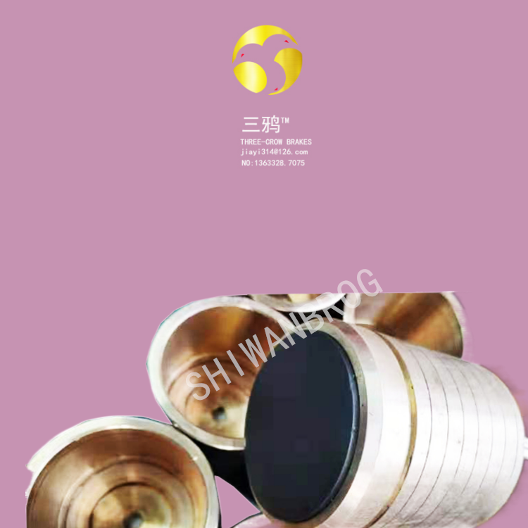 士万宝 电磁抱闸刹车片 FA06 INOX 5913-1000 配套BN132S6 FD 3KW 50Hz电机使用-jkpg.png